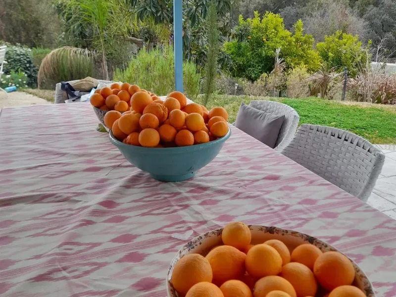 Finca - Cortijo, Guaro, Costa del Sol.