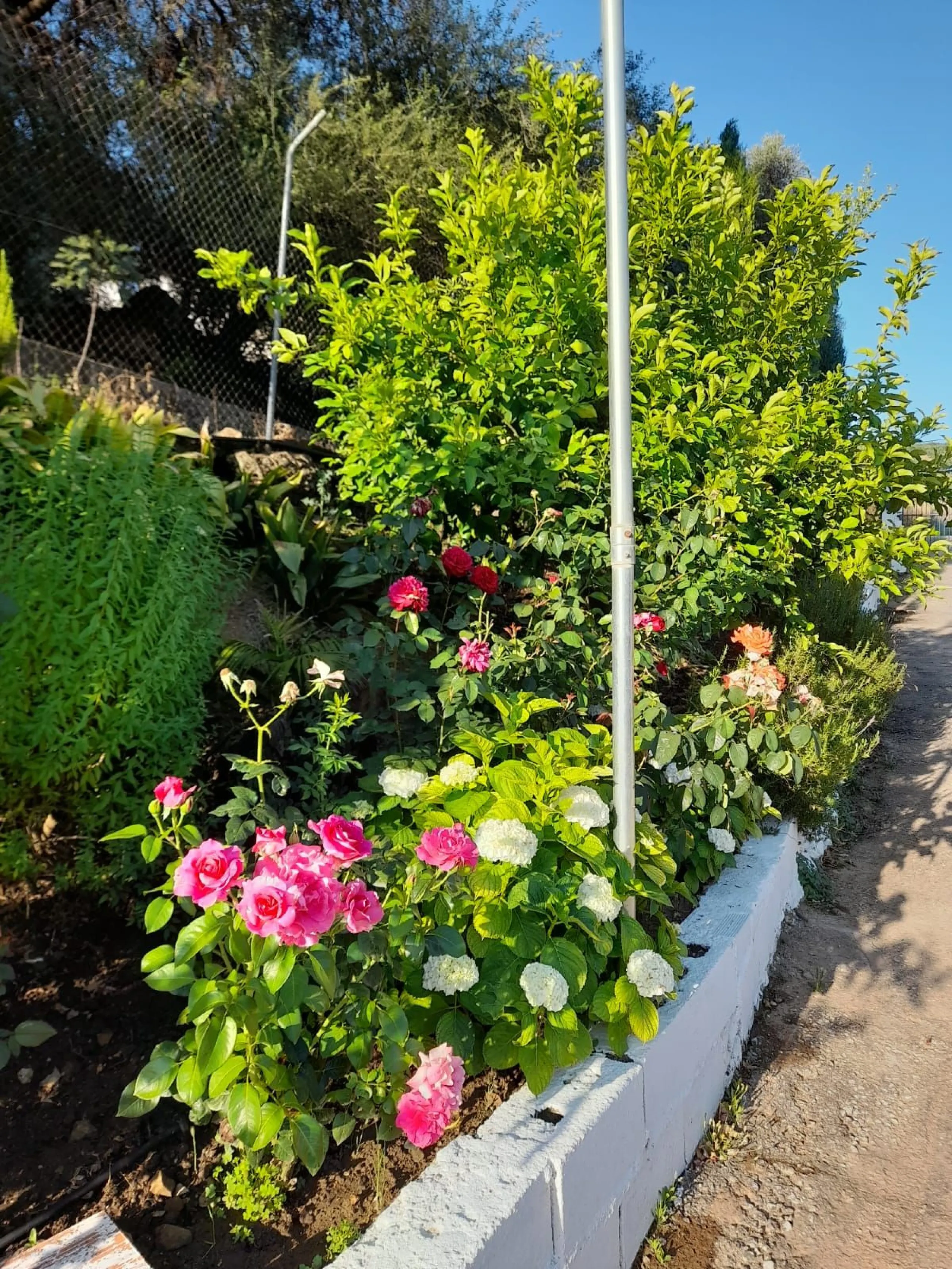 Finca - Cortijo, Guaro, Costa del Sol.