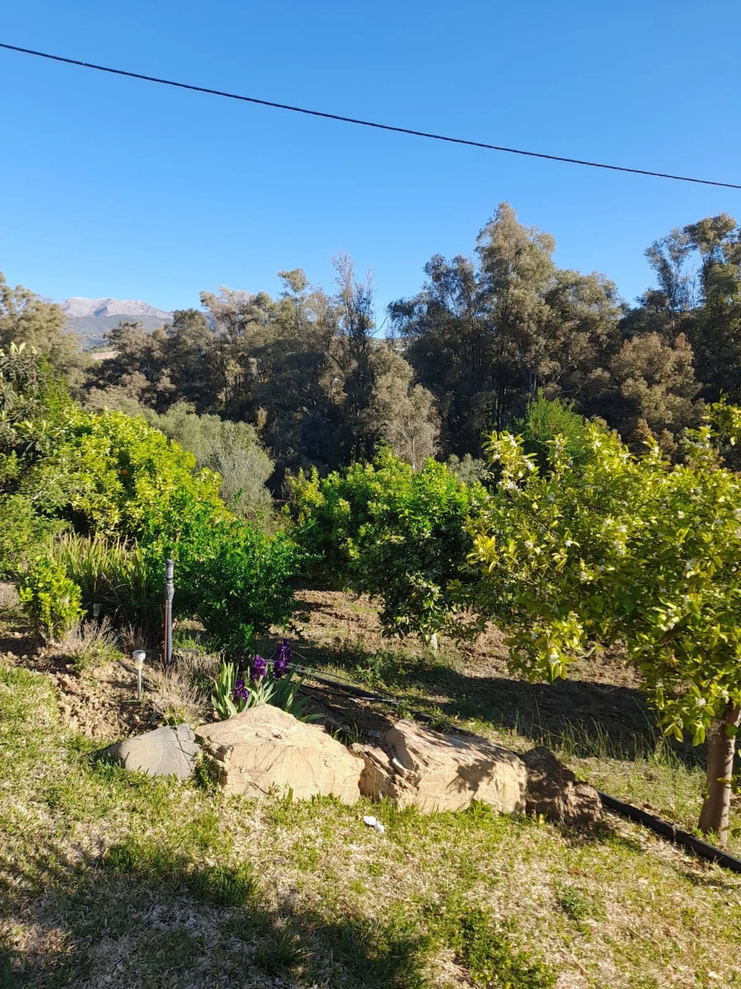 Finca - Cortijo, Guaro, Costa del Sol.