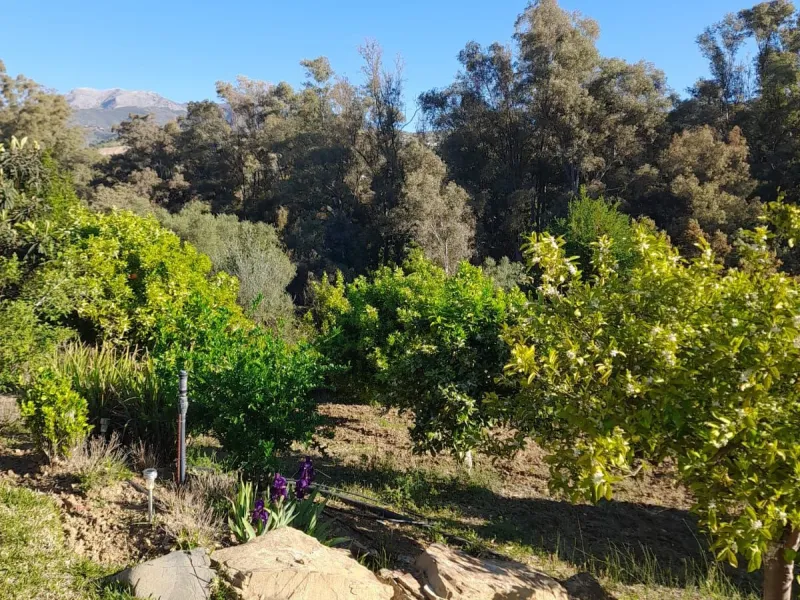 Finca - Cortijo, Guaro, Costa del Sol.