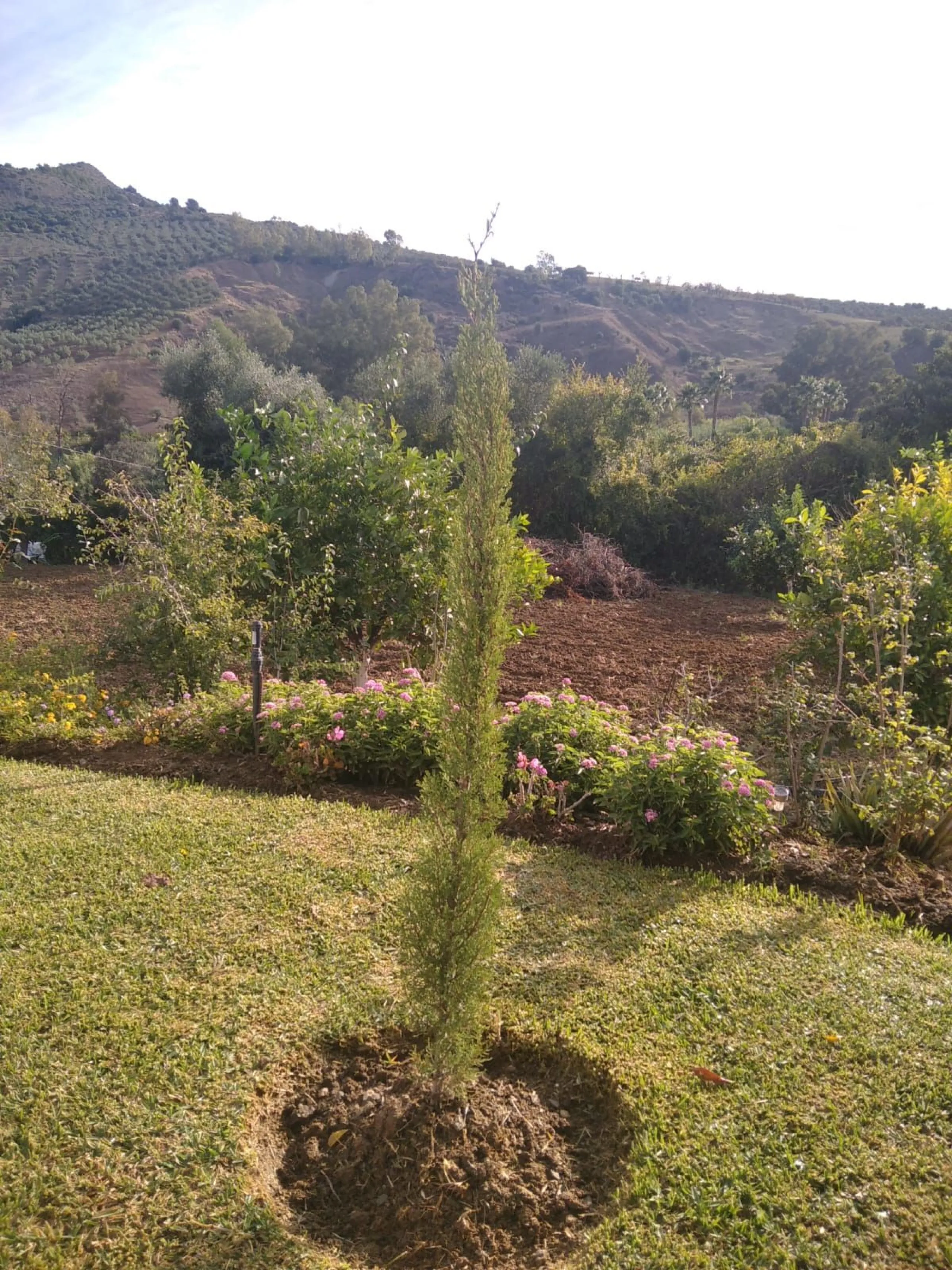Finca - Cortijo, Guaro, Costa del Sol.