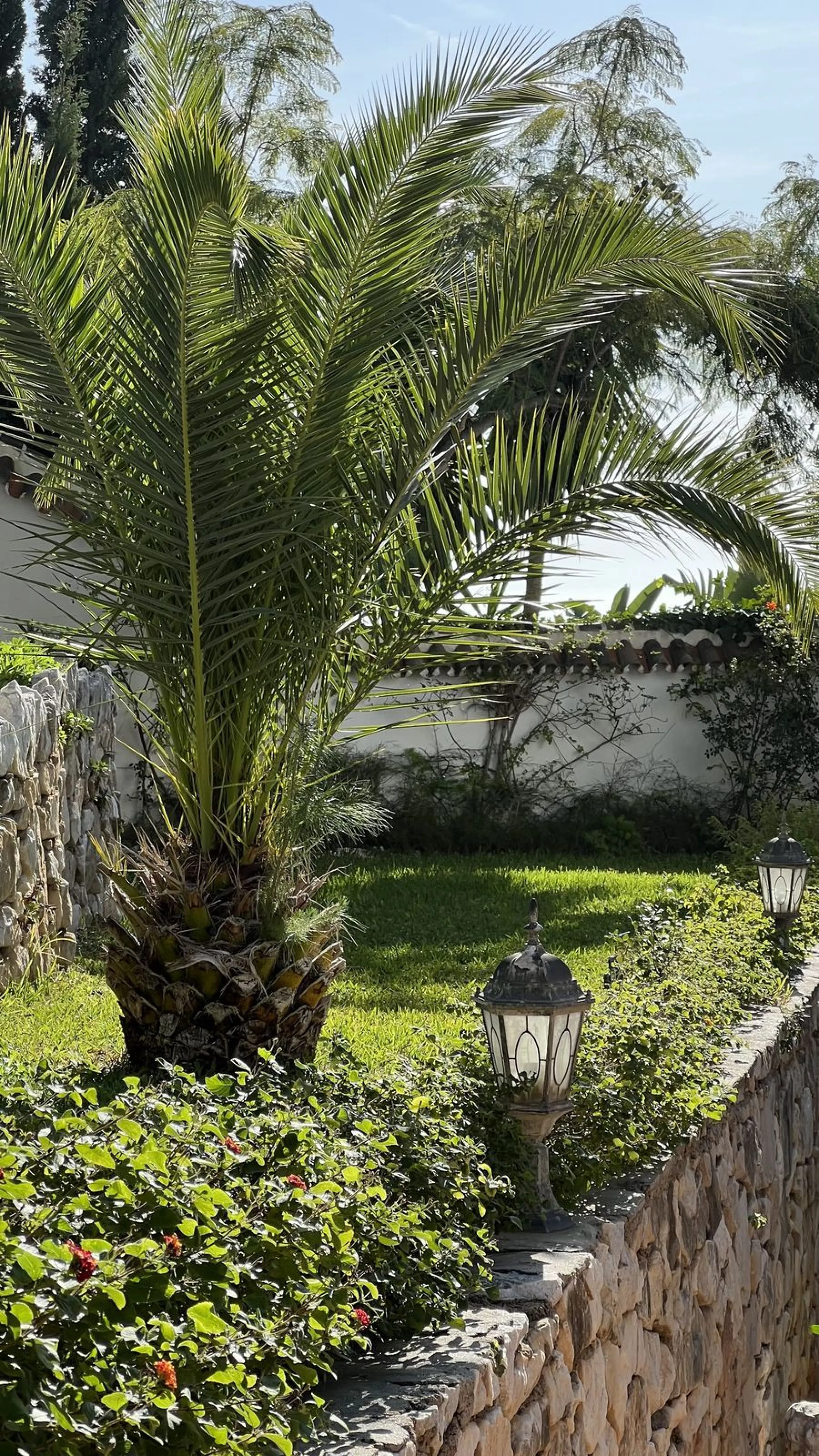 Exceptional Opportunity! Stunning Country-Style Villa with Panoramic Views – Lomas de Mijas