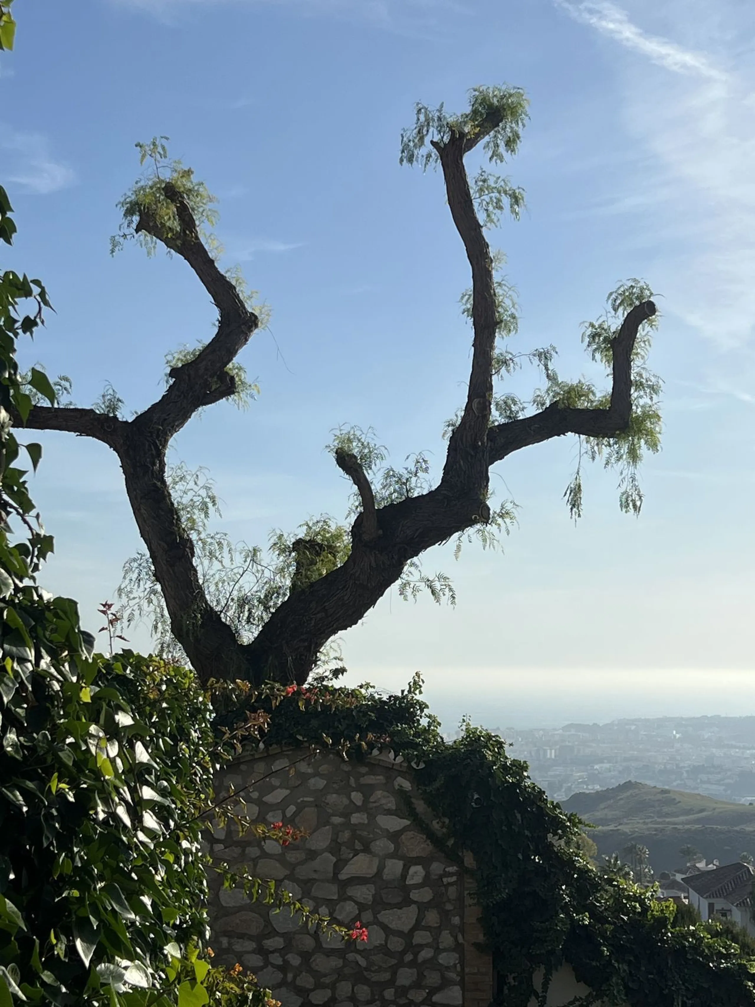 Exceptional Opportunity! Stunning Country-Style Villa with Panoramic Views – Lomas de Mijas