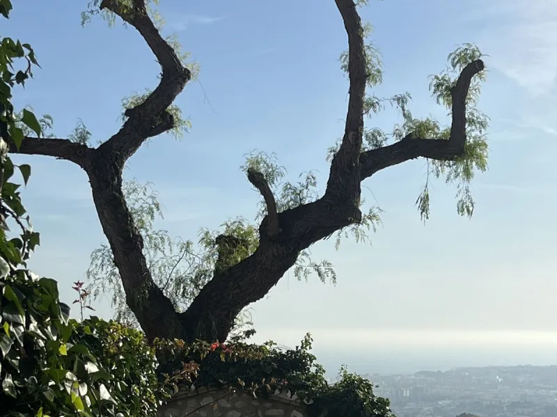 Exceptional Opportunity! Stunning Country-Style Villa with Panoramic Views – Lomas de Mijas