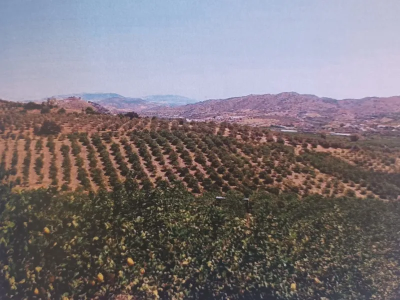 Agrarian Investment Opportunity: 4.8 Ha of Premium Irrigated Land in La Pileta (Álora) with Double Water Supply.
