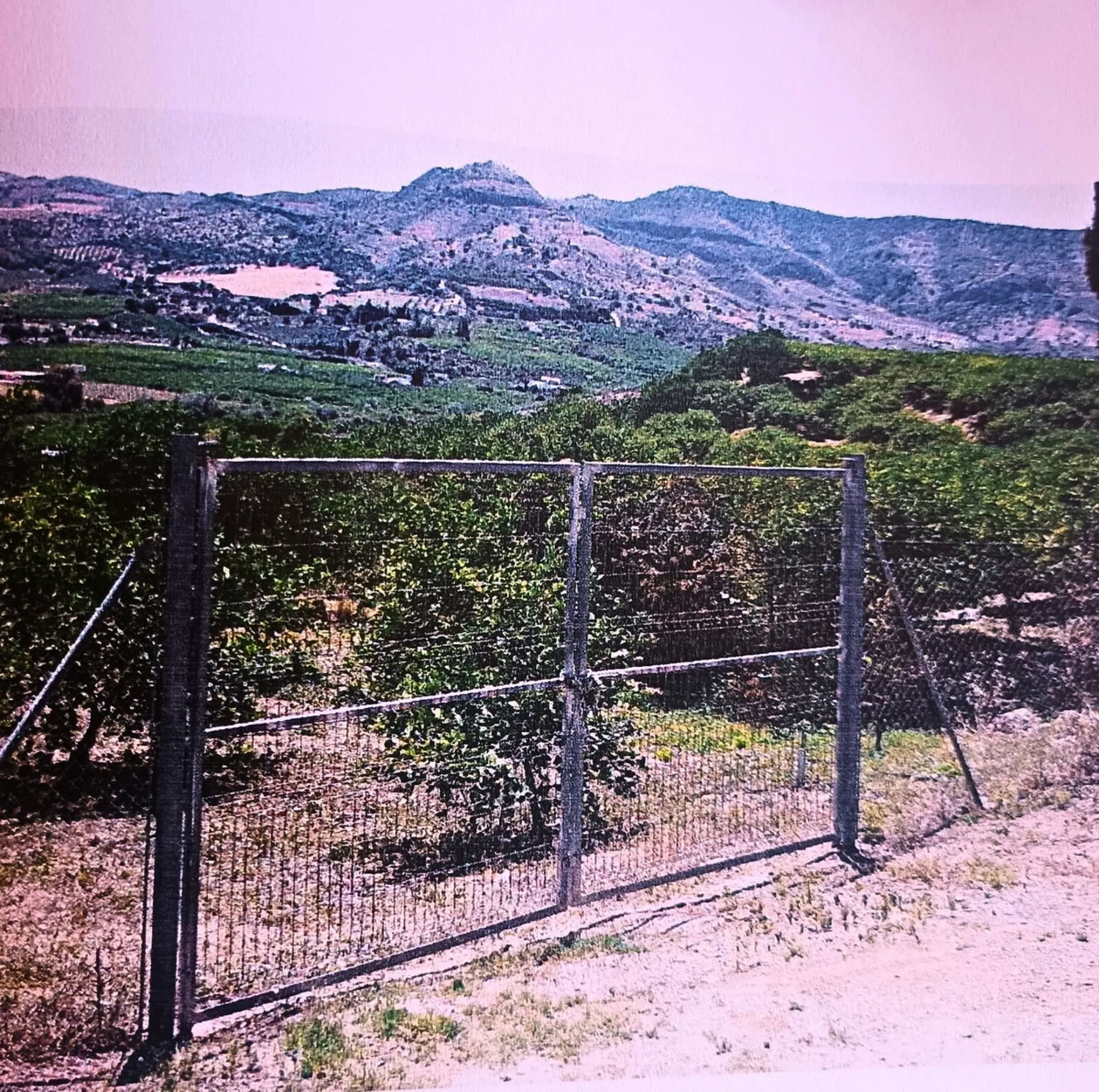 Agrarian Investment Opportunity: 4.8 Ha of Premium Irrigated Land in La Pileta (Álora) with Double Water Supply.