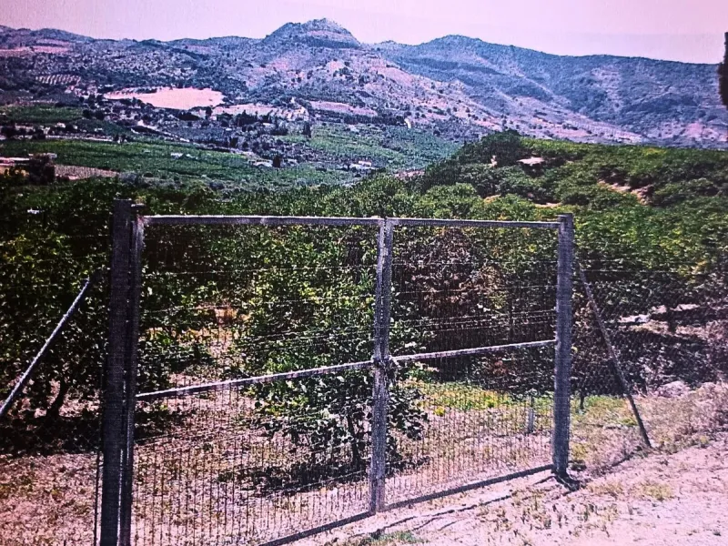 Agrarian Investment Opportunity: 4.8 Ha of Premium Irrigated Land in La Pileta (Álora) with Double Water Supply.