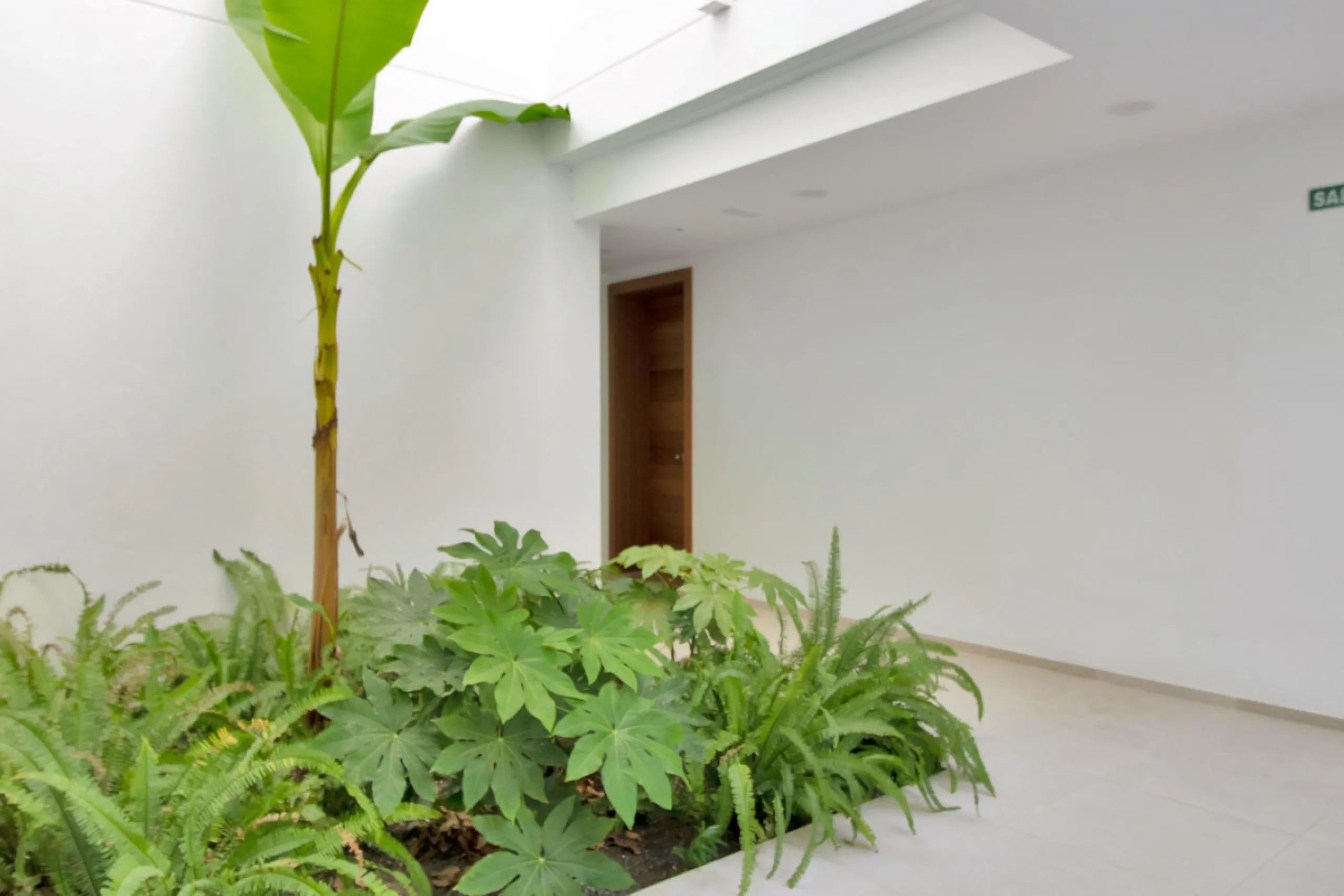 Dream Apartment with a Large Private Garden and Sea Views