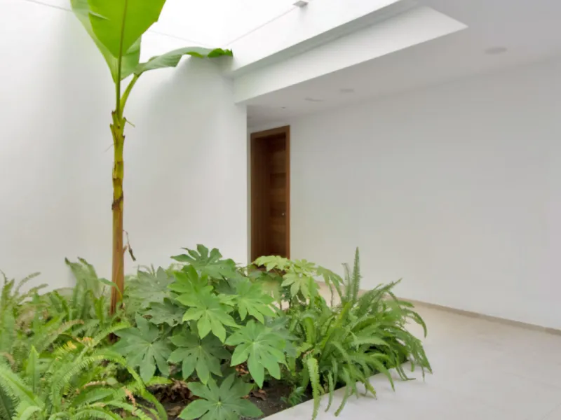 Dream Apartment with a Large Private Garden and Sea Views