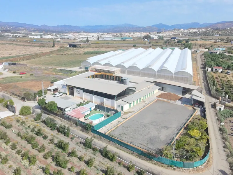 House - Finca - Cortijo в продаже в Málaga, Málaga. В доме 4 спален и 1 ванных комнат. Площадь дома 1777 м². Площадь участка 4000 м²