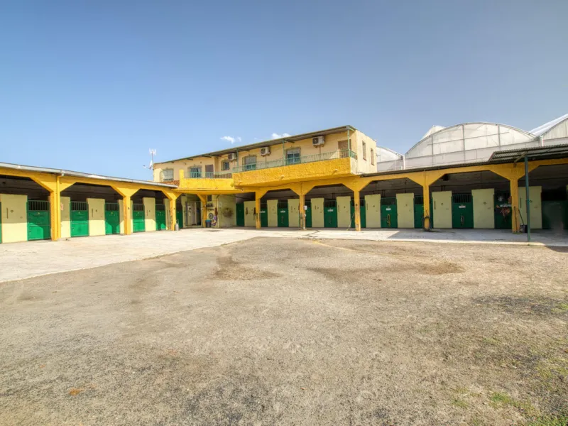 House - Finca - Cortijo в продаже в Málaga, Málaga. В доме 4 спален и 1 ванных комнат. Площадь дома 1777 м². Площадь участка 4000 м²