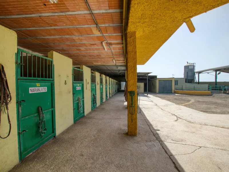 House - Finca - Cortijo в продаже в Málaga, Málaga. В доме 4 спален и 1 ванных комнат. Площадь дома 1777 м². Площадь участка 4000 м²
