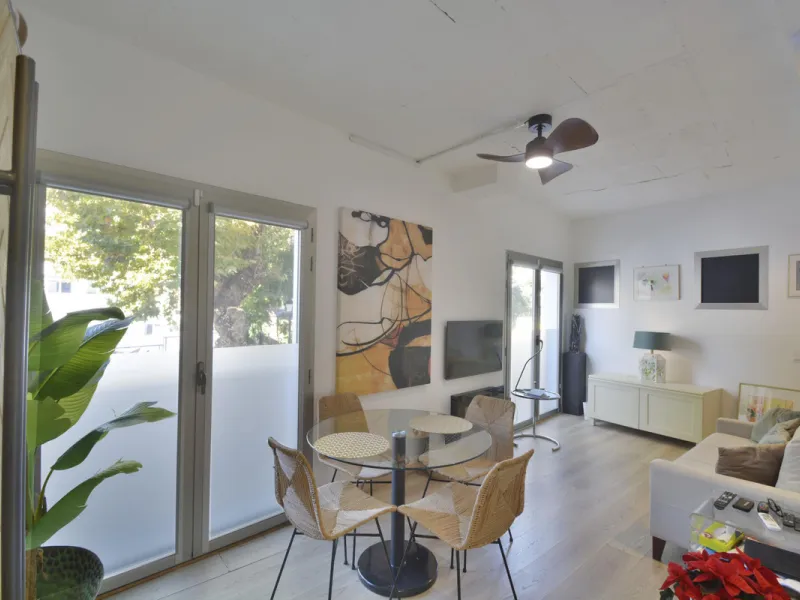 Fantastic duplex apartment in Marbella\'s Old Town, completely renovated. The only flat in the building without neighbours. Ideal for owners with dogs. This very bright apartment has a living-dining room with hot/cold air conditioning and an electric fire