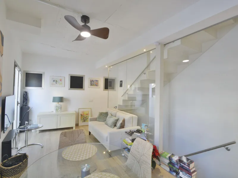 Fantastic duplex apartment in Marbella\'s Old Town, completely renovated. The only flat in the building without neighbours. Ideal for owners with dogs. This very bright apartment has a living-dining room with hot/cold air conditioning and an electric fire