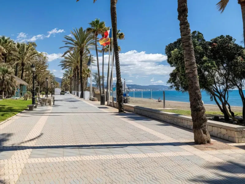 Café/Restaurant Opportunity in the Heart of San Pedro de Alcántara | Costa del Sol