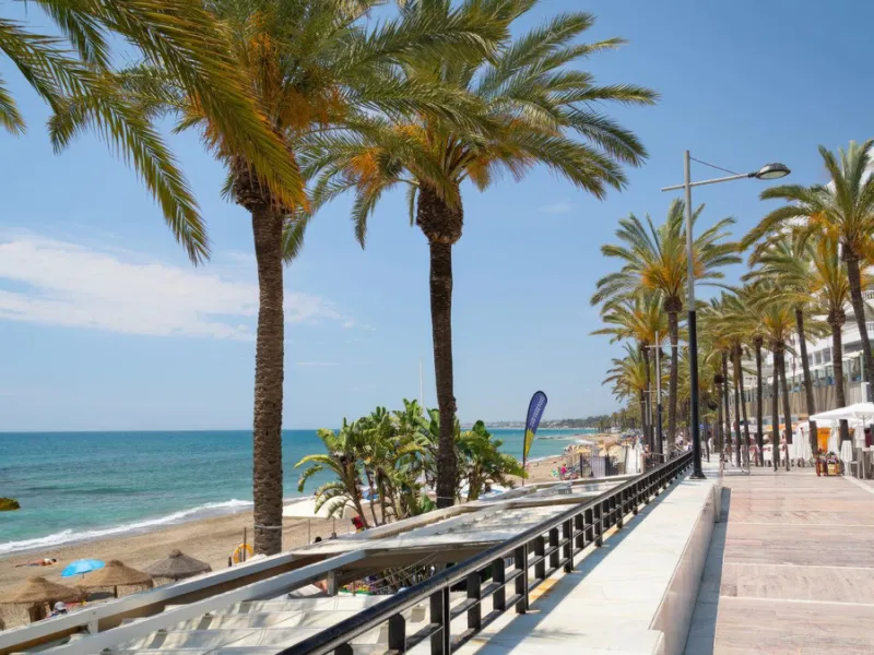 Café/Restaurant Opportunity in the Heart of San Pedro de Alcántara | Costa del Sol