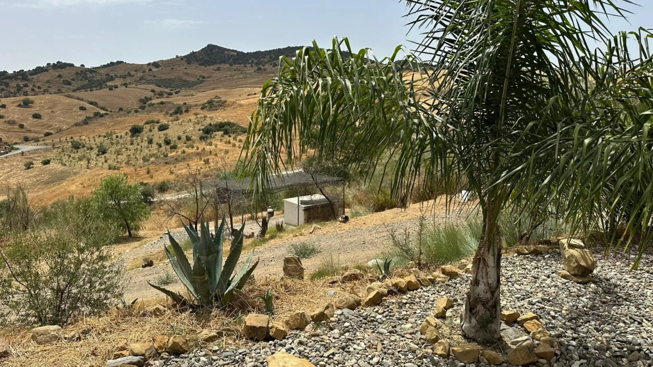Beautiful Villa for Sale in Álora with DAFO – Perfect to Live, Invest, or Rent Out