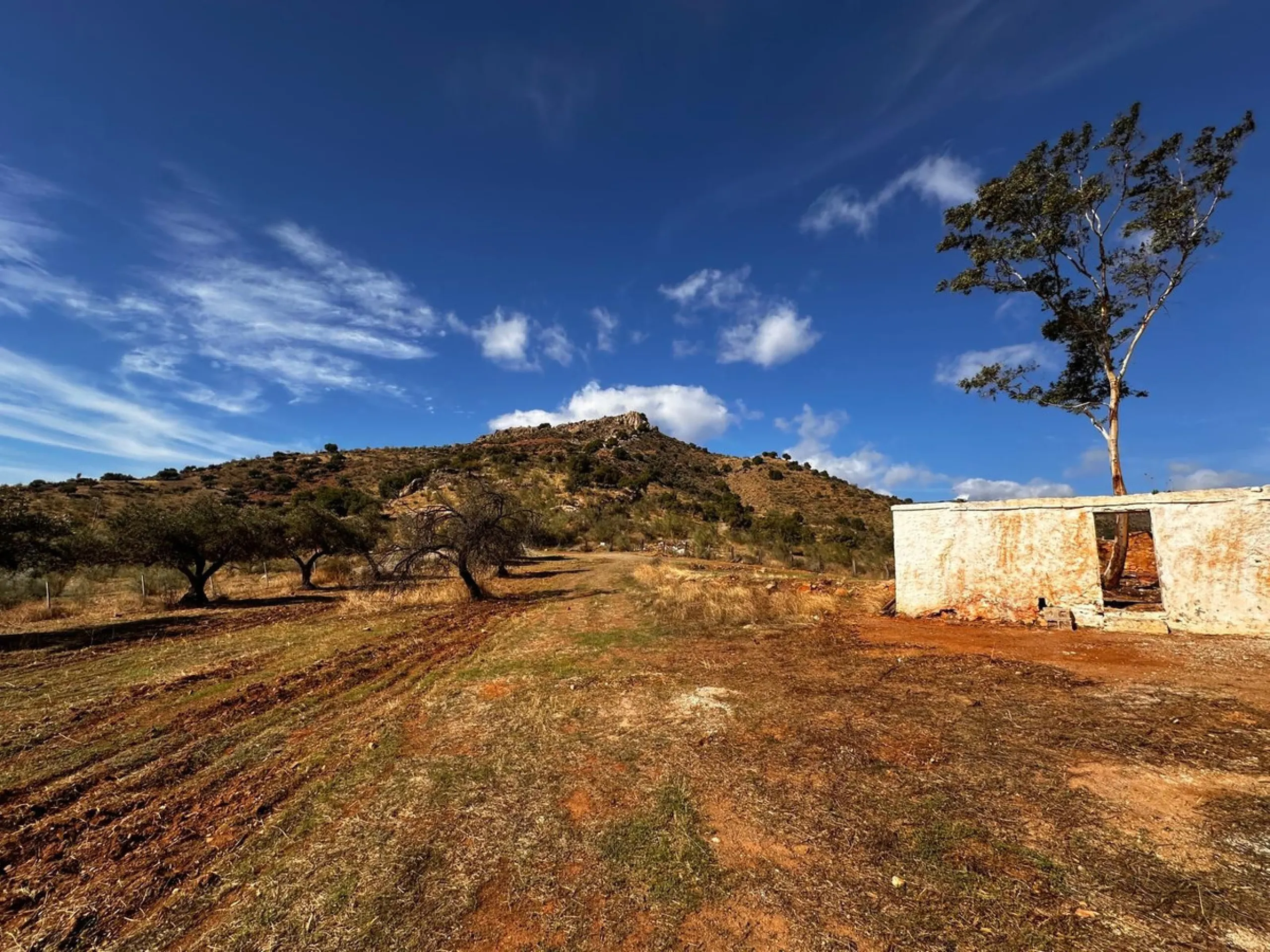 Plot - Residential Plot в продаже в Almogía, Málaga. Площадь дома 314 м². Площадь участка 760000 м²