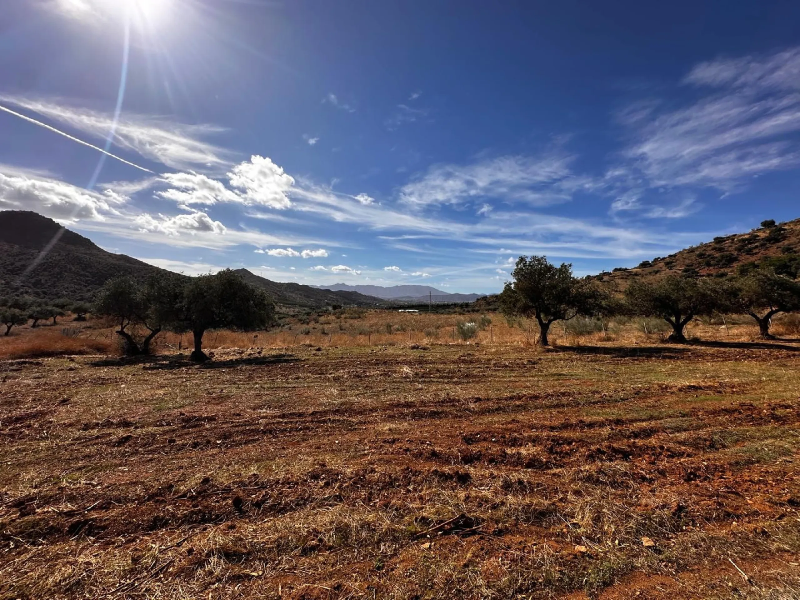 Plot - Residential Plot в продаже в Almogía, Málaga. Площадь дома 314 м². Площадь участка 760000 м²