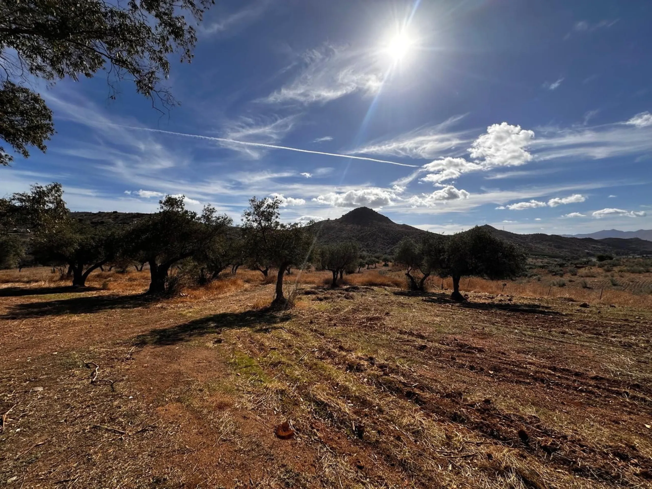 Plot - Residential Plot в продаже в Almogía, Málaga. Площадь дома 314 м². Площадь участка 760000 м²