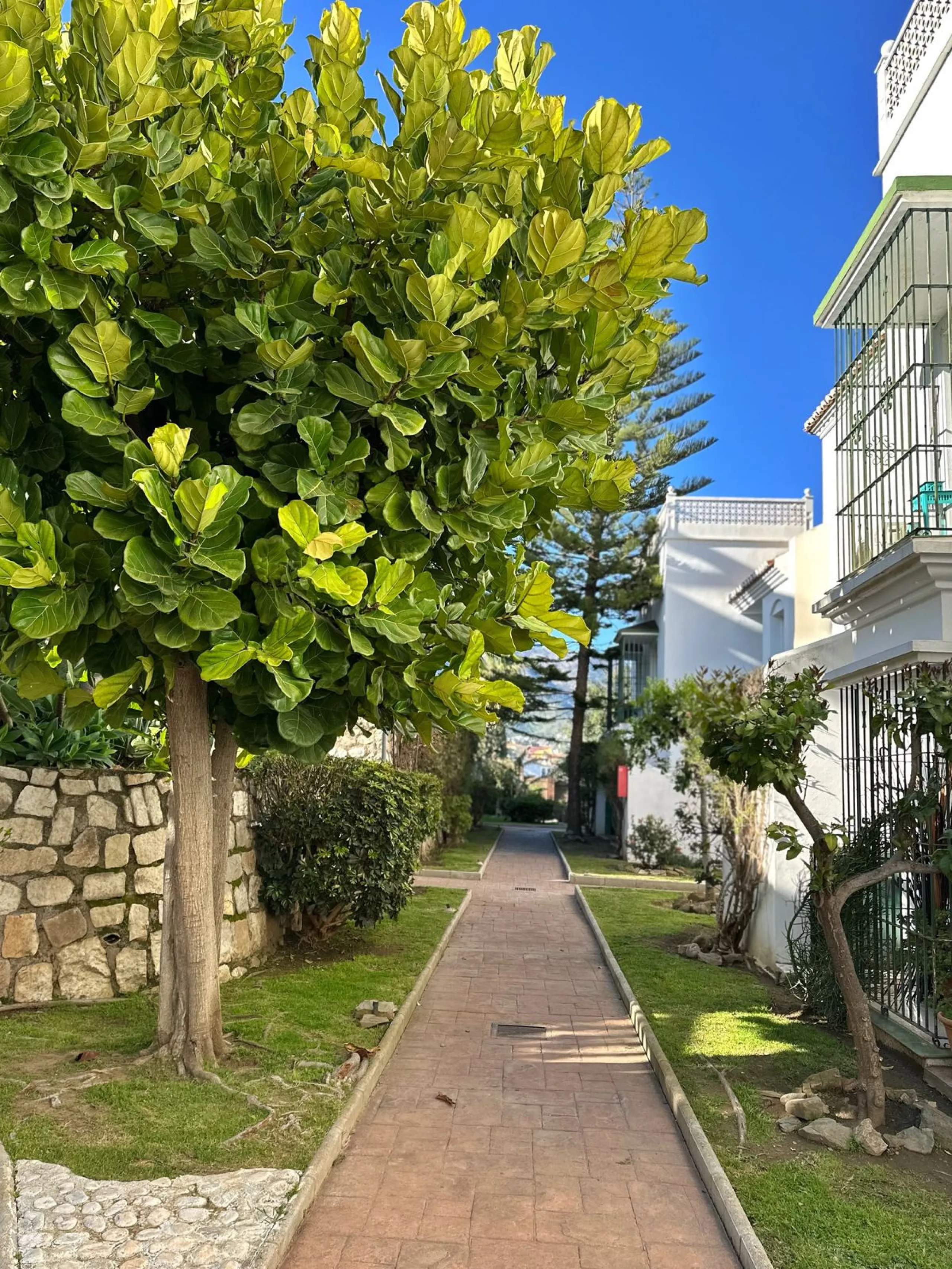 Ground Floor Apartment with Spacious Terrace, South-East Orientation, Mountain Views & Partial Sea View.