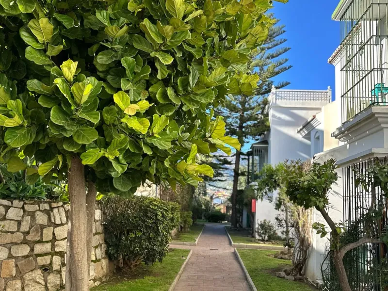 Ground Floor Apartment with Spacious Terrace, South-East Orientation, Mountain Views & Partial Sea View.