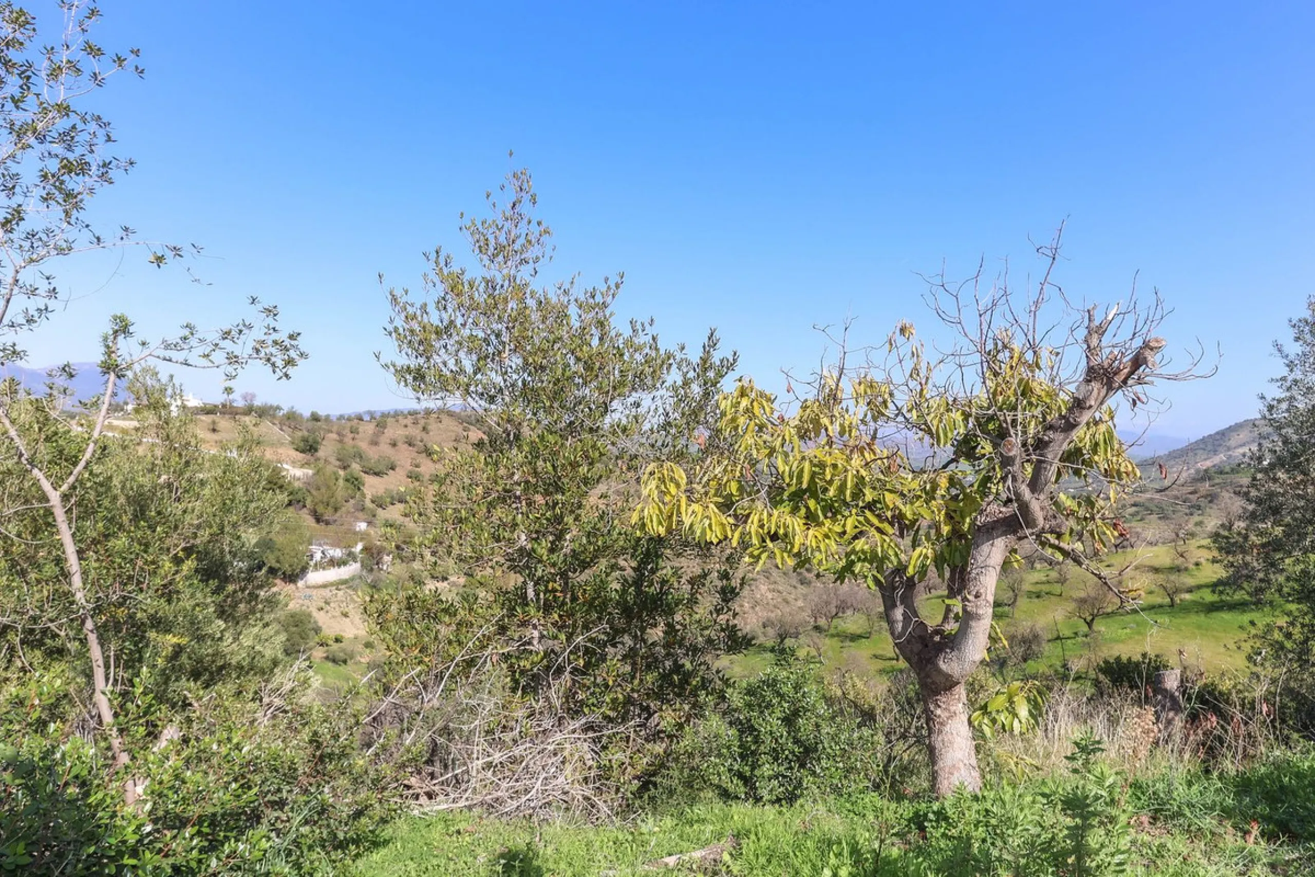 House - Finca - Cortijo в продаже в Guaro, Málaga. В доме 2 спален и 1 ванных комнат. Площадь дома 72 м². Площадь участка 36000 м²