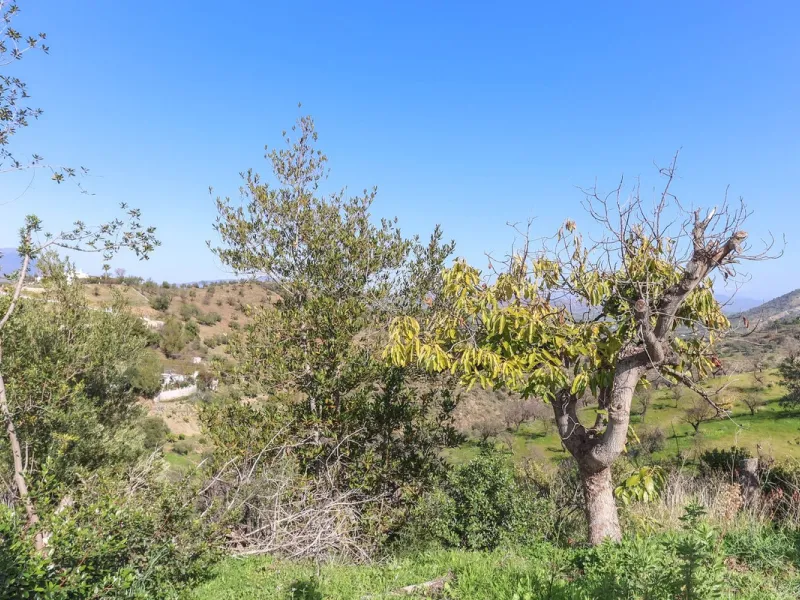House - Finca - Cortijo в продаже в Guaro, Málaga. В доме 2 спален и 1 ванных комнат. Площадь дома 72 м². Площадь участка 36000 м²