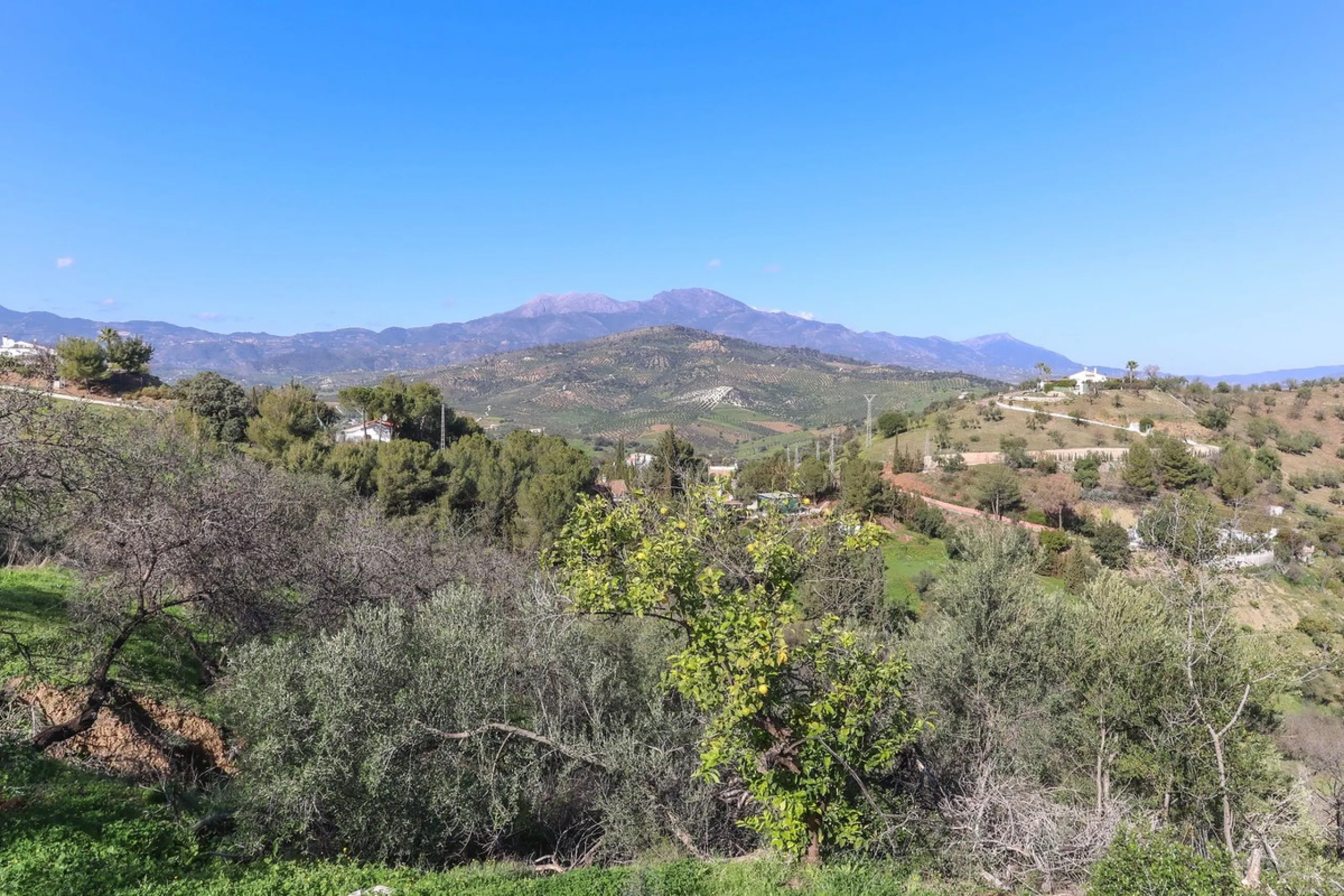 House - Finca - Cortijo в продаже в Guaro, Málaga. В доме 2 спален и 1 ванных комнат. Площадь дома 72 м². Площадь участка 36000 м²