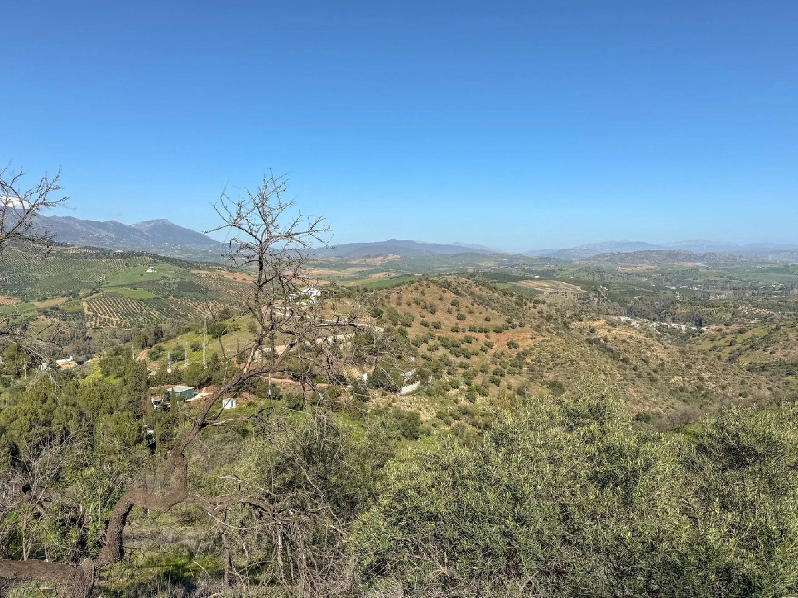 House - Finca - Cortijo в продаже в Guaro, Málaga. В доме 2 спален и 1 ванных комнат. Площадь дома 72 м². Площадь участка 36000 м²