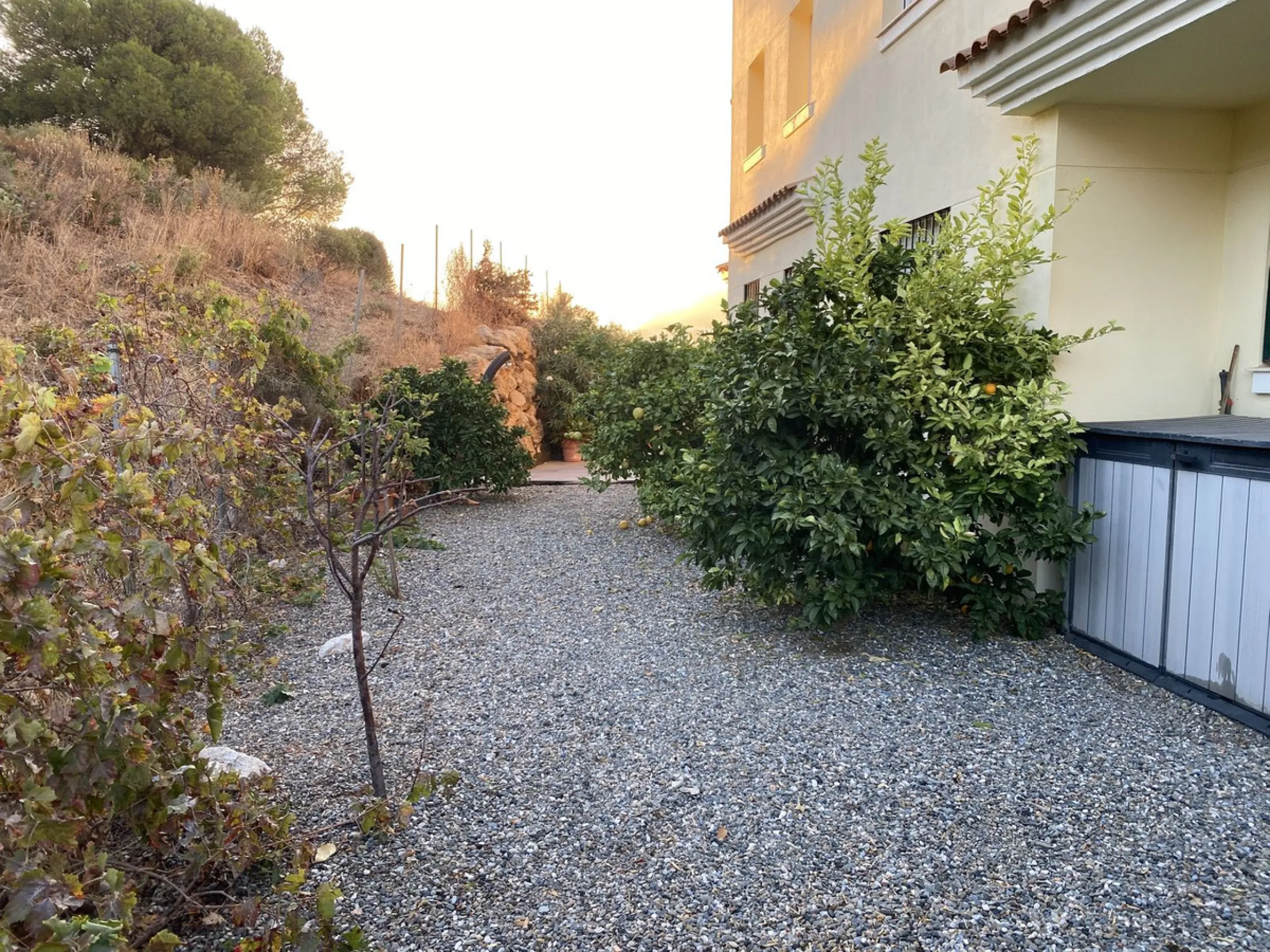 FIRST TIME ON THE MARKET FOR MANY YEARS. A FABULOUS OPPORTUNITY TO ACQUIRE A SPACIOUS, VERY WELL PRESENTED, GROUND FLOOR APARTMENT IN WHAT IS WIDELY CONSIDERED TO BE ONE OF THE BEST URBANIZATIONS IN MIJAS