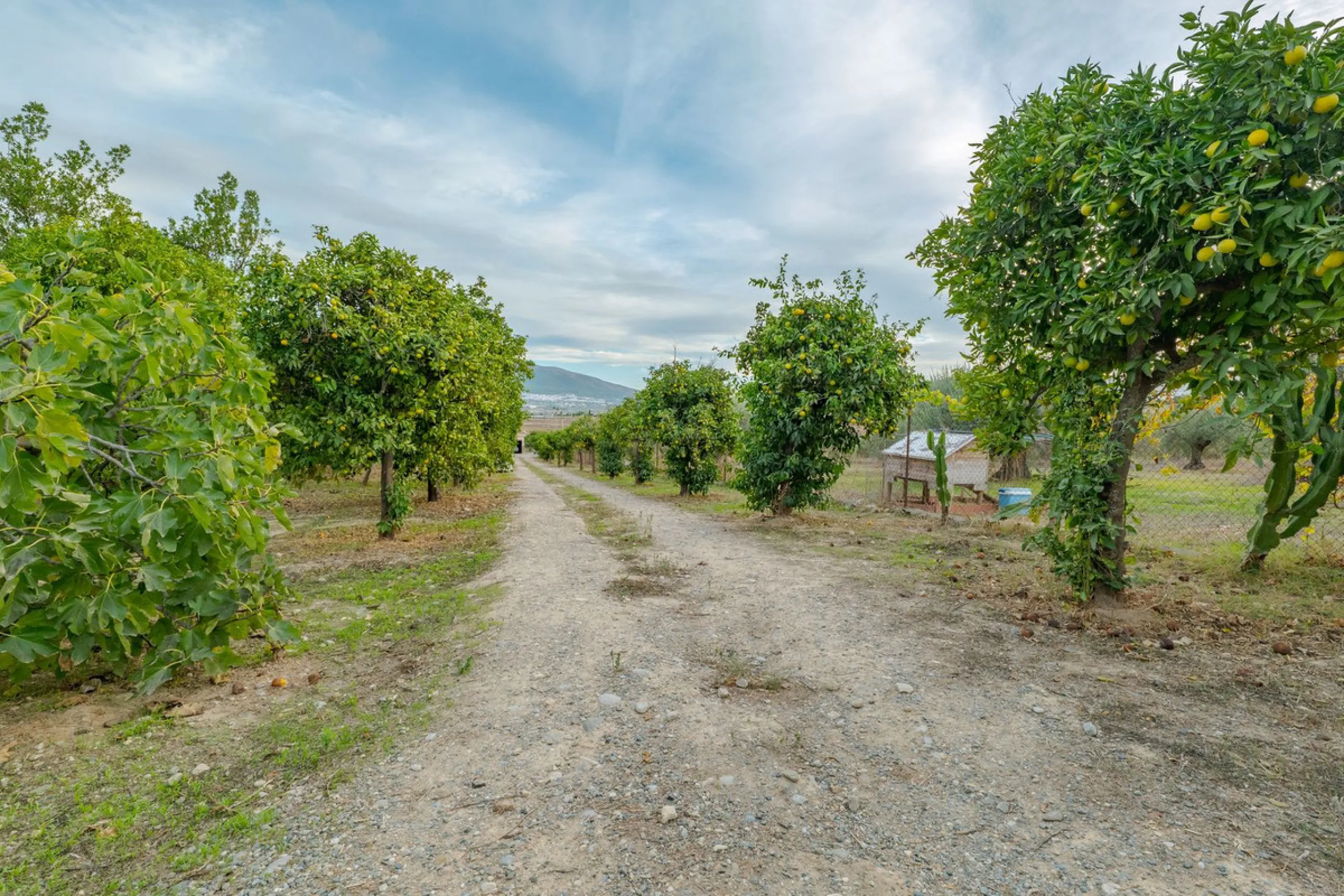 This is a fantastic opportunity to become the owner of not one, but two charming Andalusian-style villas, situated on a generous plot of 6,630 m² within walking distance of the village of Villafranco del Guadalhorce.