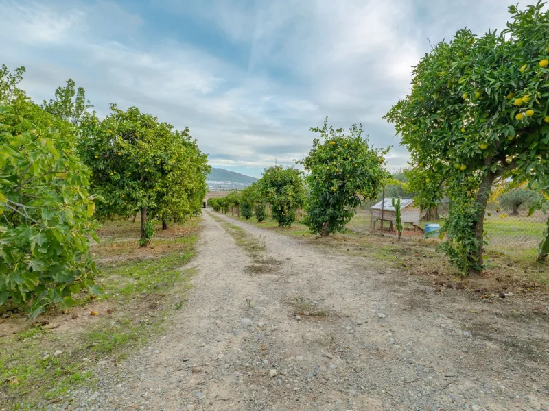 This is a fantastic opportunity to become the owner of not one, but two charming Andalusian-style villas, situated on a generous plot of 6,630 m² within walking distance of the village of Villafranco del Guadalhorce.