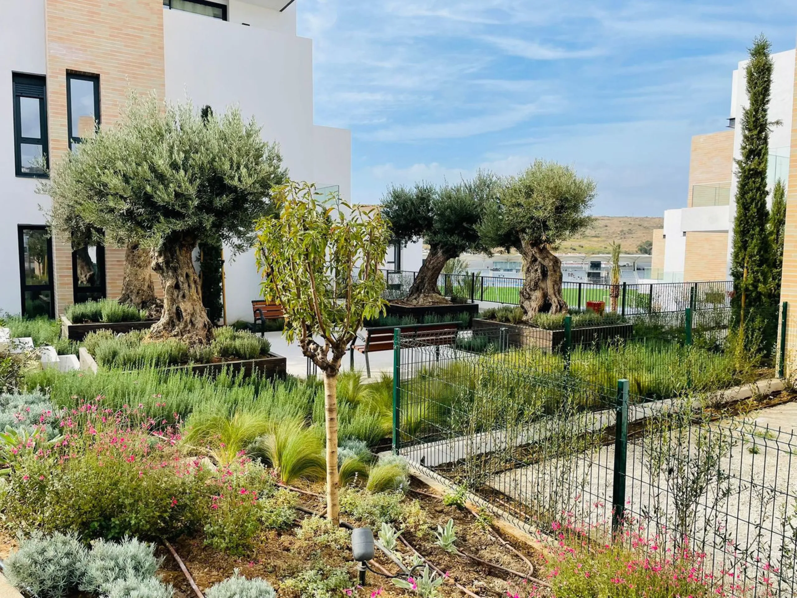 BRAND NEW PENTHOUSES IN ESTEPONA