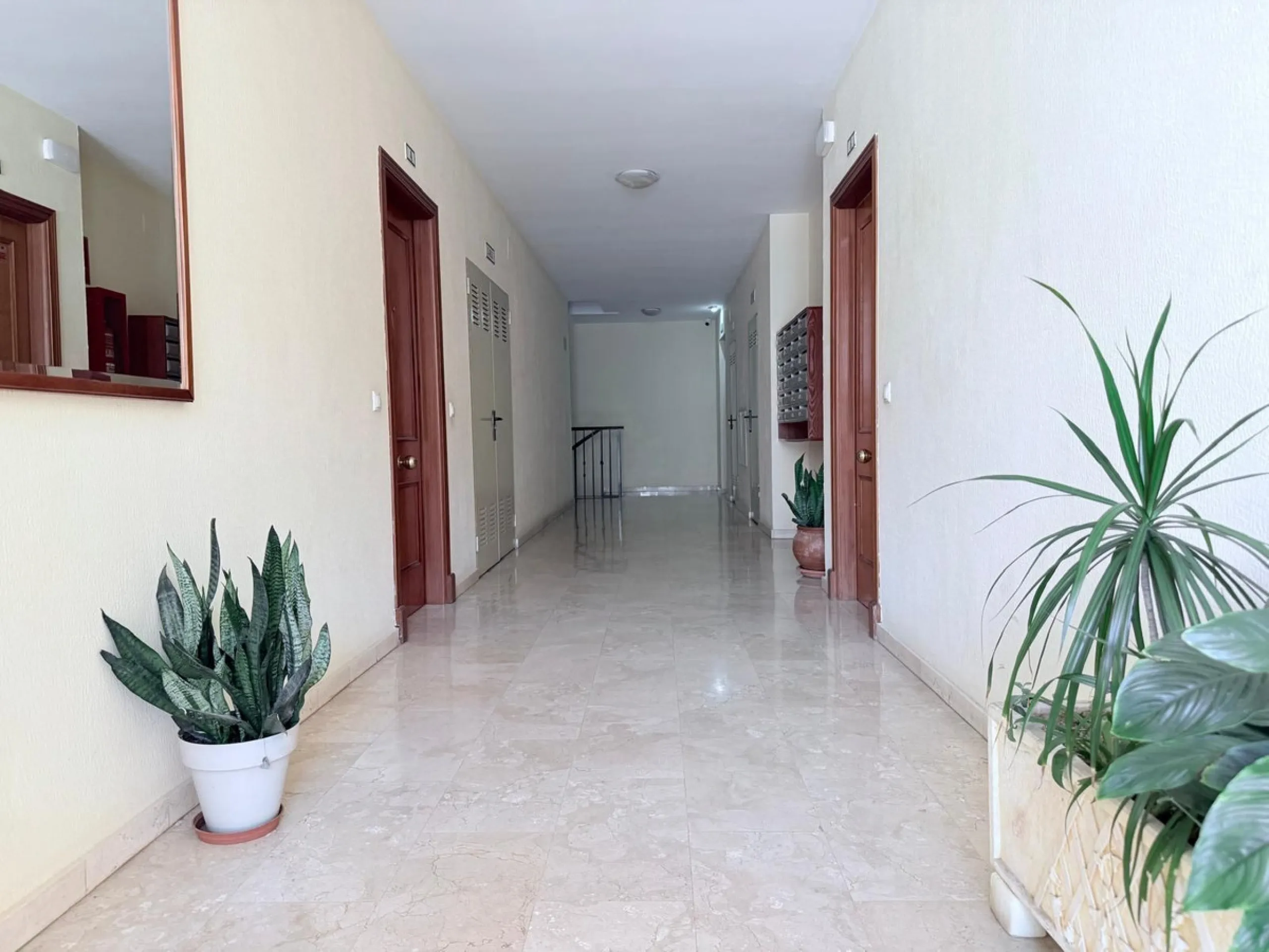 ✨ New to the Market – Fabulous Apartment in a Prime Location ✨