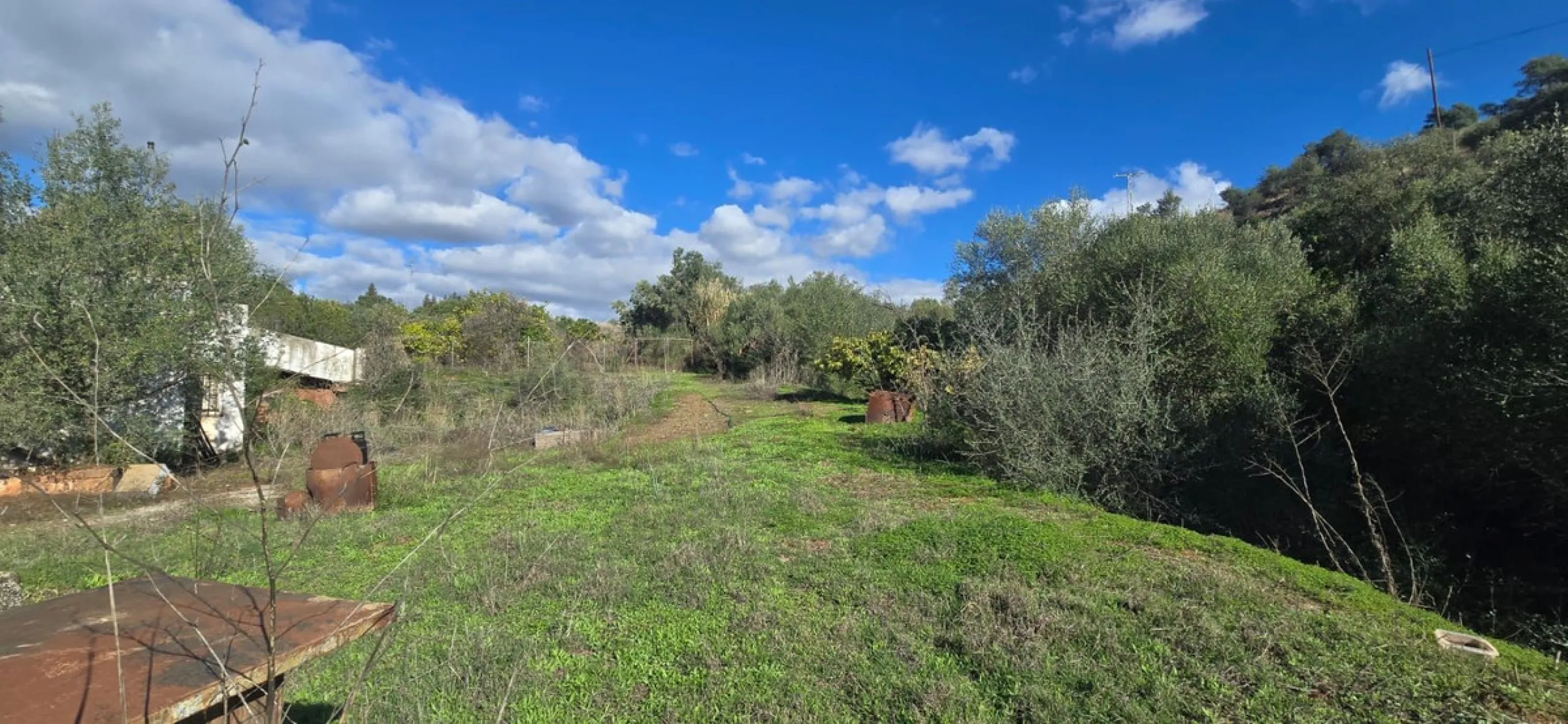 Charming Finca / Cortijo on a Rare 18,000 m² Flat Green Plot – El Velerín, Estepona
