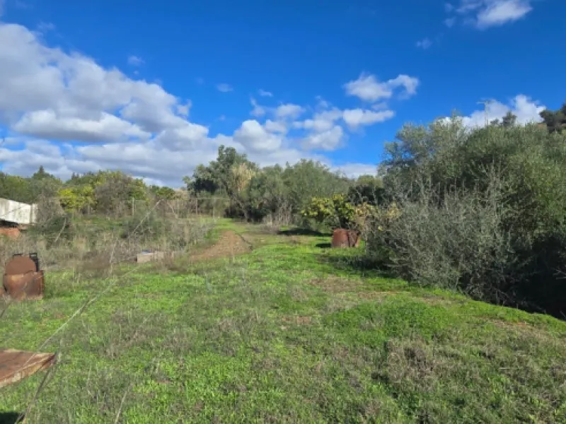 Charming Finca / Cortijo on a Rare 18,000 m² Flat Green Plot – El Velerín, Estepona