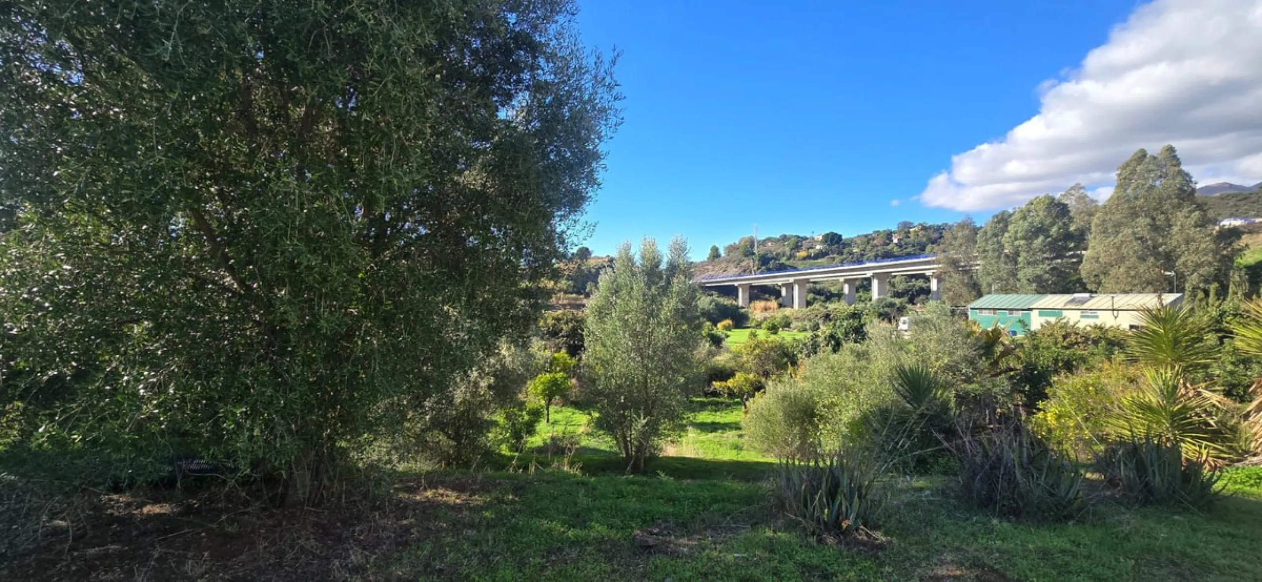 Charming Finca / Cortijo on a Rare 18,000 m² Flat Green Plot – El Velerín, Estepona