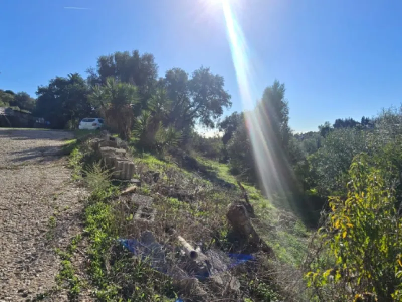 Charming Finca / Cortijo on a Rare 18,000 m² Flat Green Plot – El Velerín, Estepona