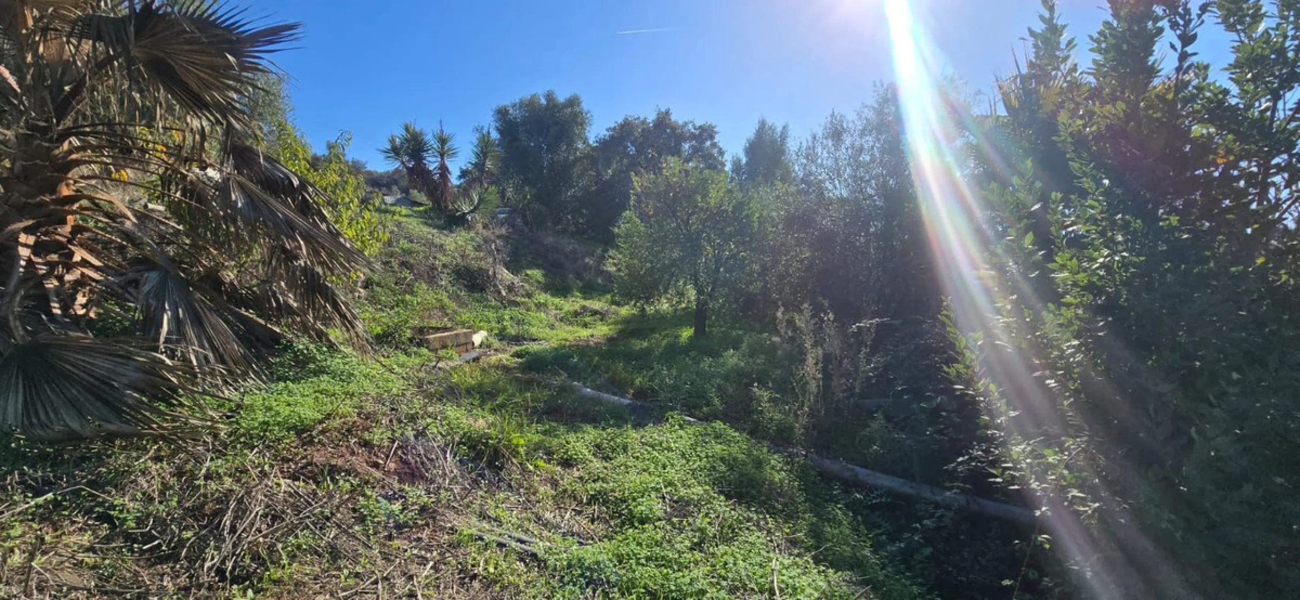 Charming Finca / Cortijo on a Rare 18,000 m² Flat Green Plot – El Velerín, Estepona