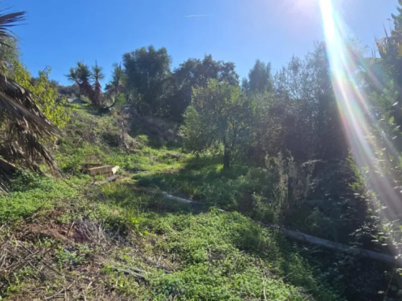 Charming Finca / Cortijo on a Rare 18,000 m² Flat Green Plot – El Velerín, Estepona
