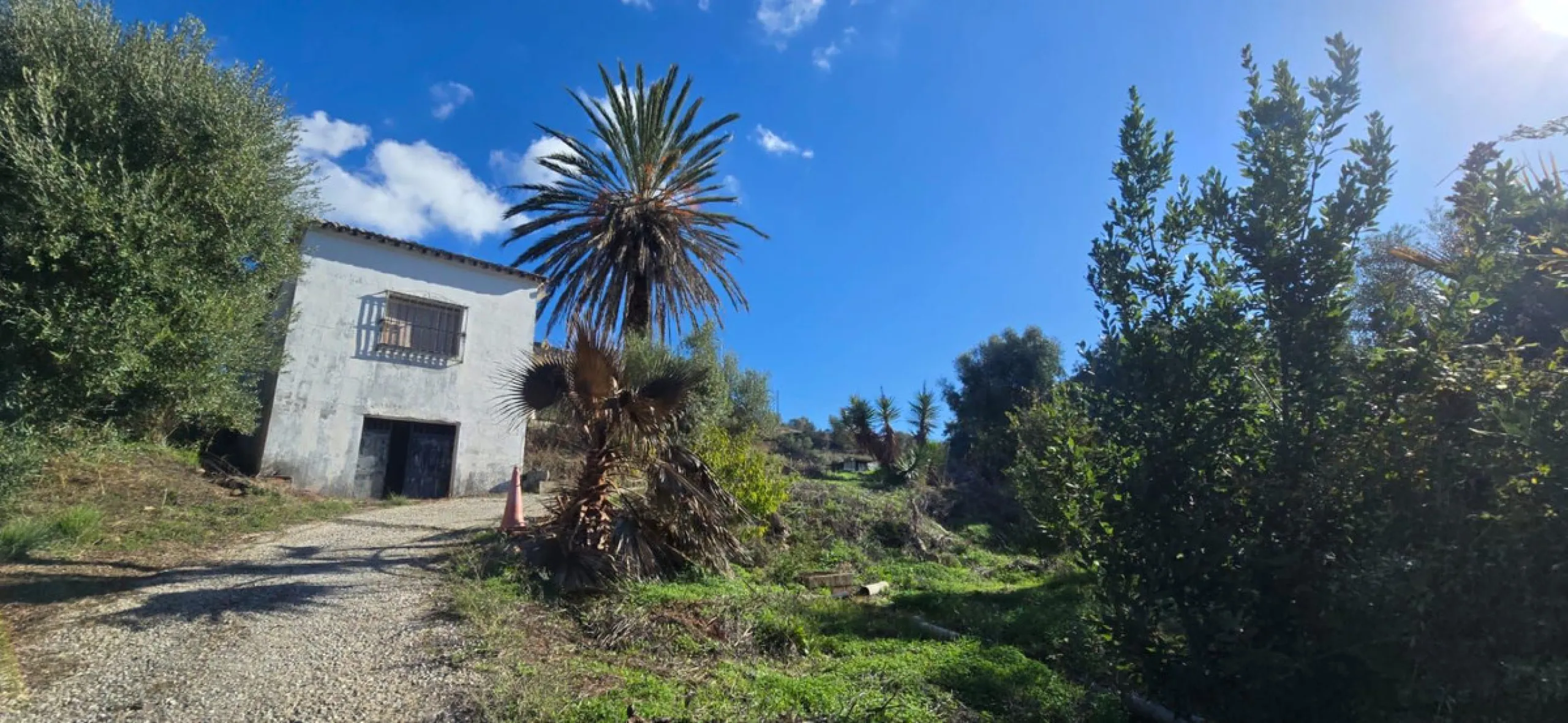 Charming Finca / Cortijo on a Rare 18,000 m² Flat Green Plot – El Velerín, Estepona