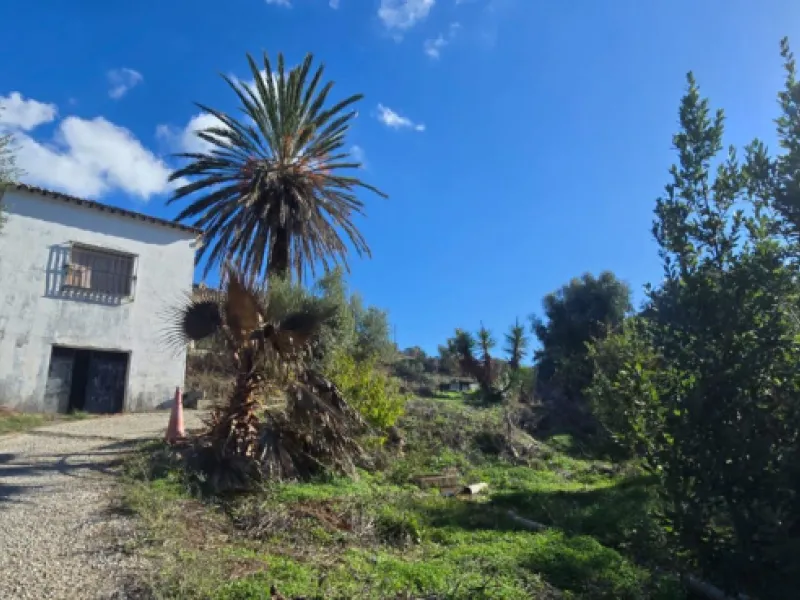 Charming Finca / Cortijo on a Rare 18,000 m² Flat Green Plot – El Velerín, Estepona