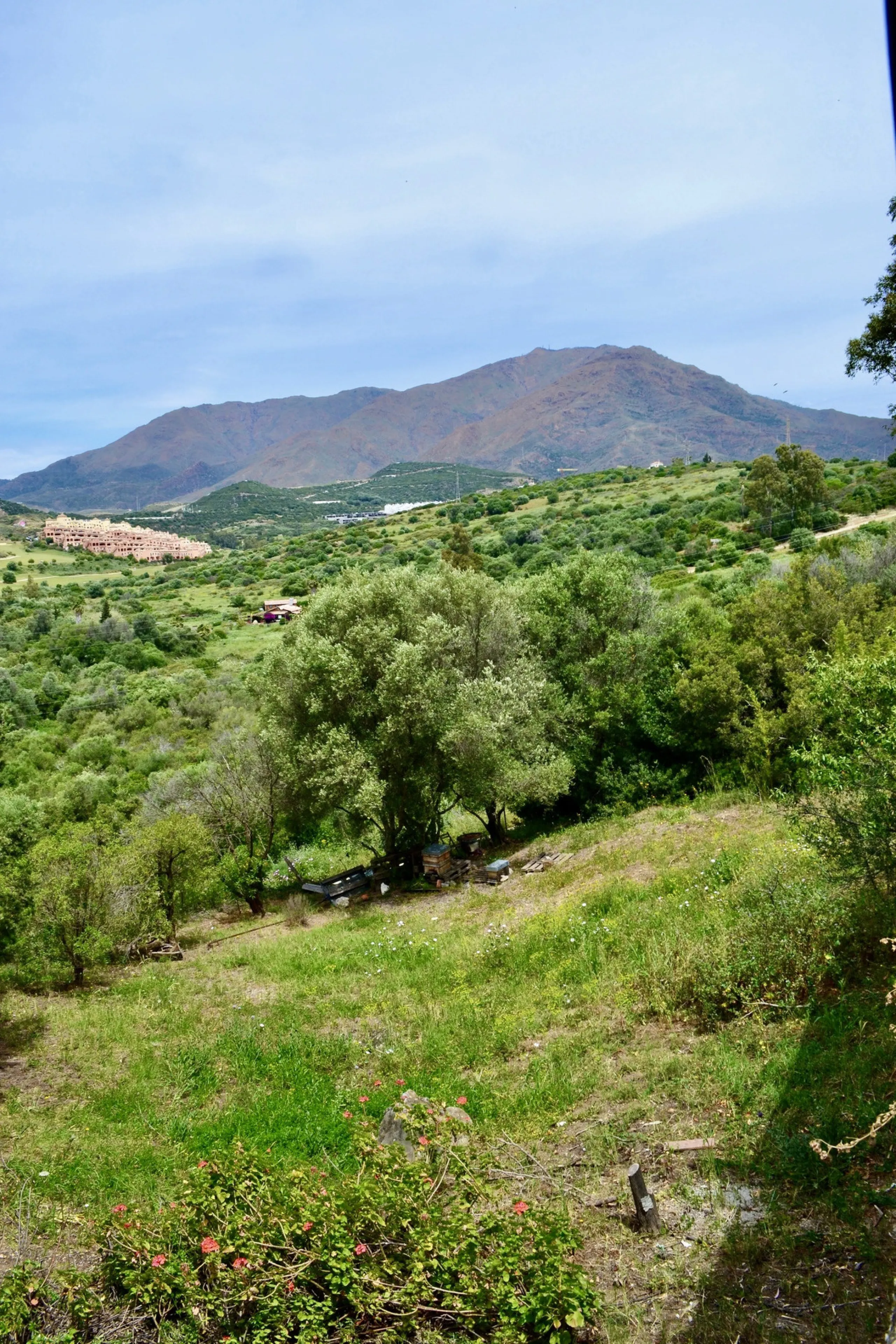 Discover an exceptional investment opportunity in a tranquil, consolidated residential area of Estepona. This prime plot of land, with a total area of 2,559 square meters and a buildable area of 615 square meters, is perfectly suited for a variety of deve