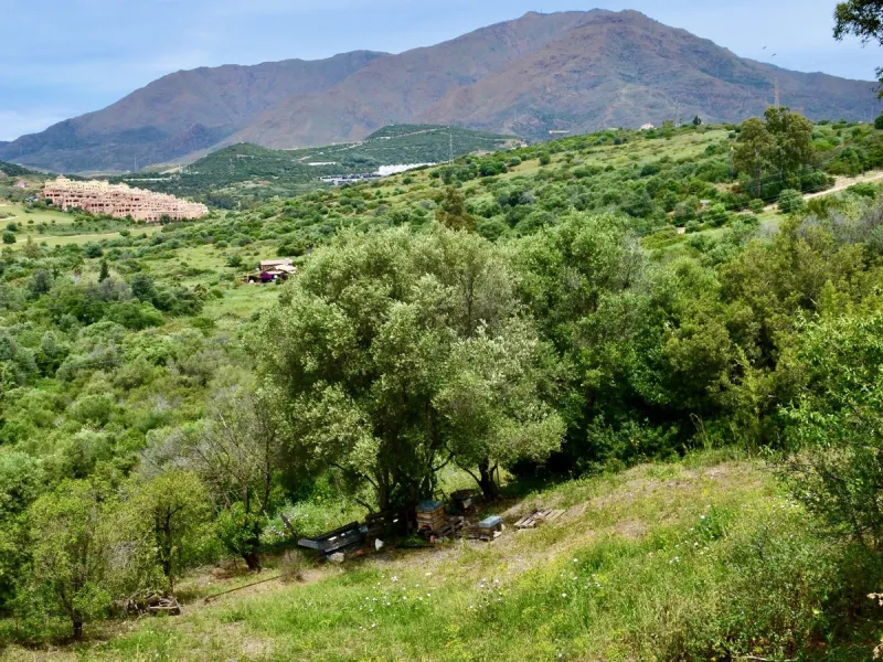 Discover an exceptional investment opportunity in a tranquil, consolidated residential area of Estepona. This prime plot of land, with a total area of 2,559 square meters and a buildable area of 615 square meters, is perfectly suited for a variety of deve
