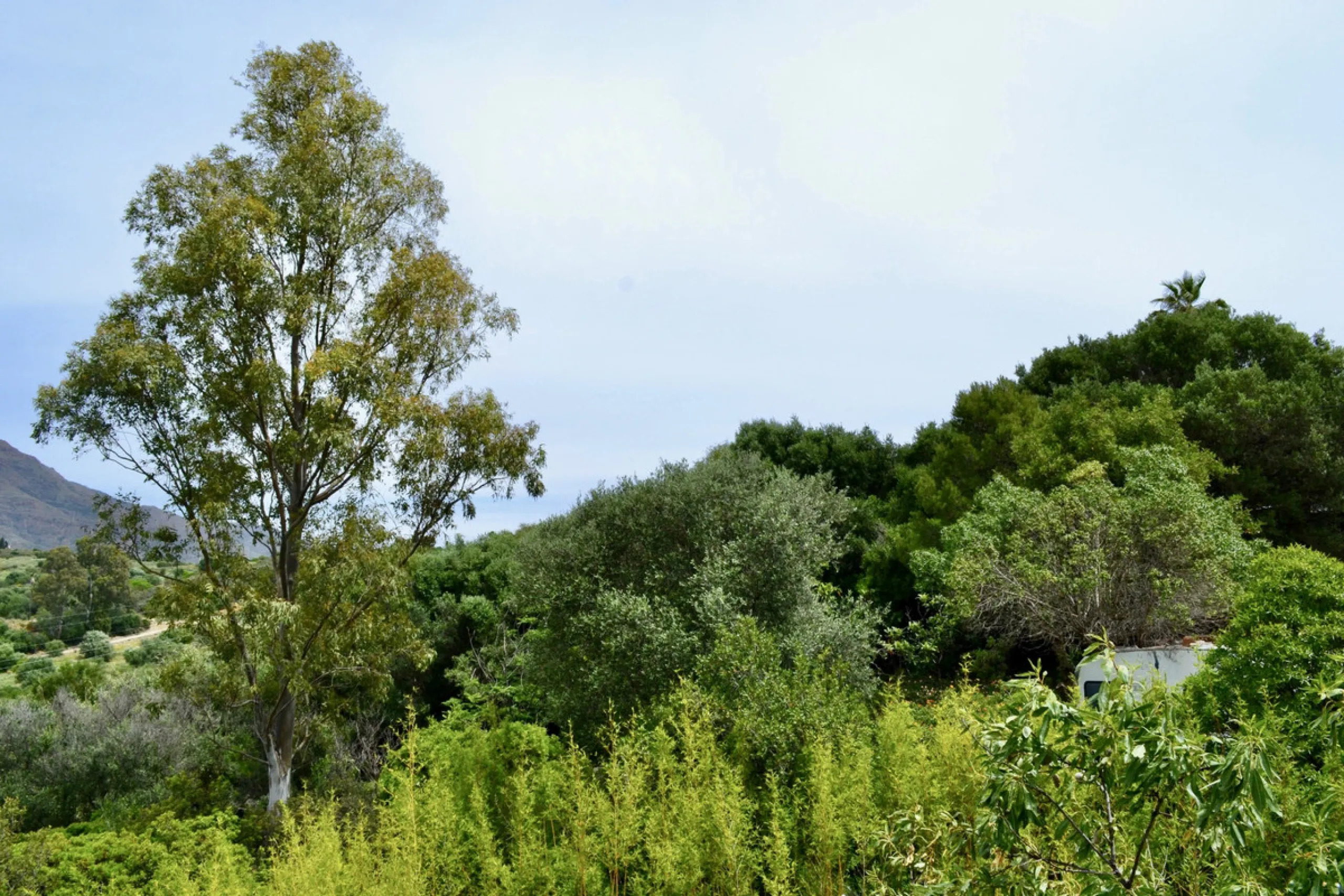 Discover an exceptional investment opportunity in a tranquil, consolidated residential area of Estepona. This prime plot of land, with a total area of 2,559 square meters and a buildable area of 615 square meters, is perfectly suited for a variety of deve