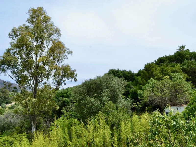 Discover an exceptional investment opportunity in a tranquil, consolidated residential area of Estepona. This prime plot of land, with a total area of 2,559 square meters and a buildable area of 615 square meters, is perfectly suited for a variety of deve