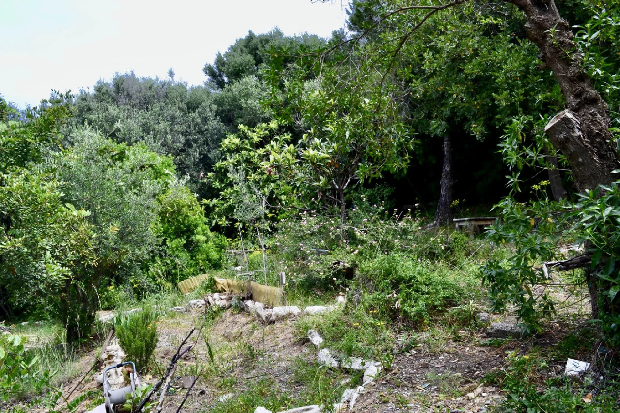 Discover an exceptional investment opportunity in a tranquil, consolidated residential area of Estepona. This prime plot of land, with a total area of 2,559 square meters and a buildable area of 615 square meters, is perfectly suited for a variety of deve