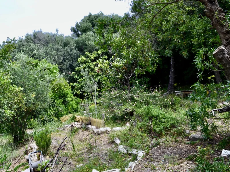 Discover an exceptional investment opportunity in a tranquil, consolidated residential area of Estepona. This prime plot of land, with a total area of 2,559 square meters and a buildable area of 615 square meters, is perfectly suited for a variety of deve