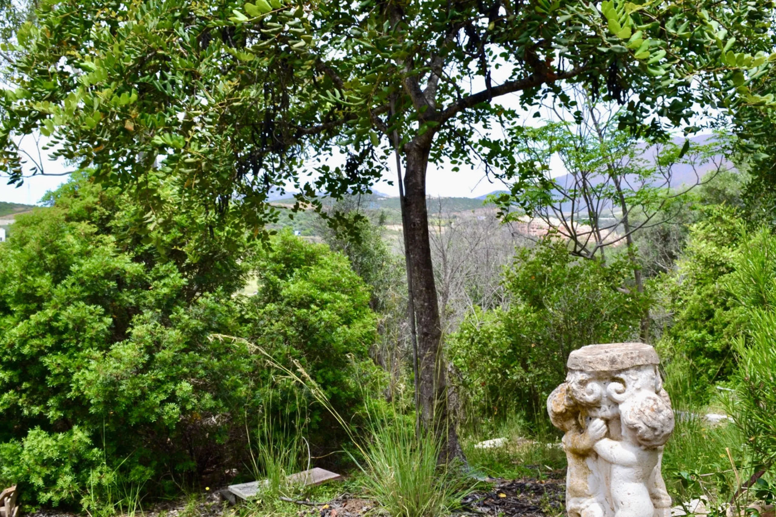 Discover an exceptional investment opportunity in a tranquil, consolidated residential area of Estepona. This prime plot of land, with a total area of 2,559 square meters and a buildable area of 615 square meters, is perfectly suited for a variety of deve